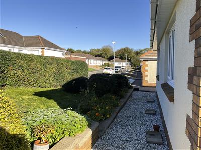 Picture 25